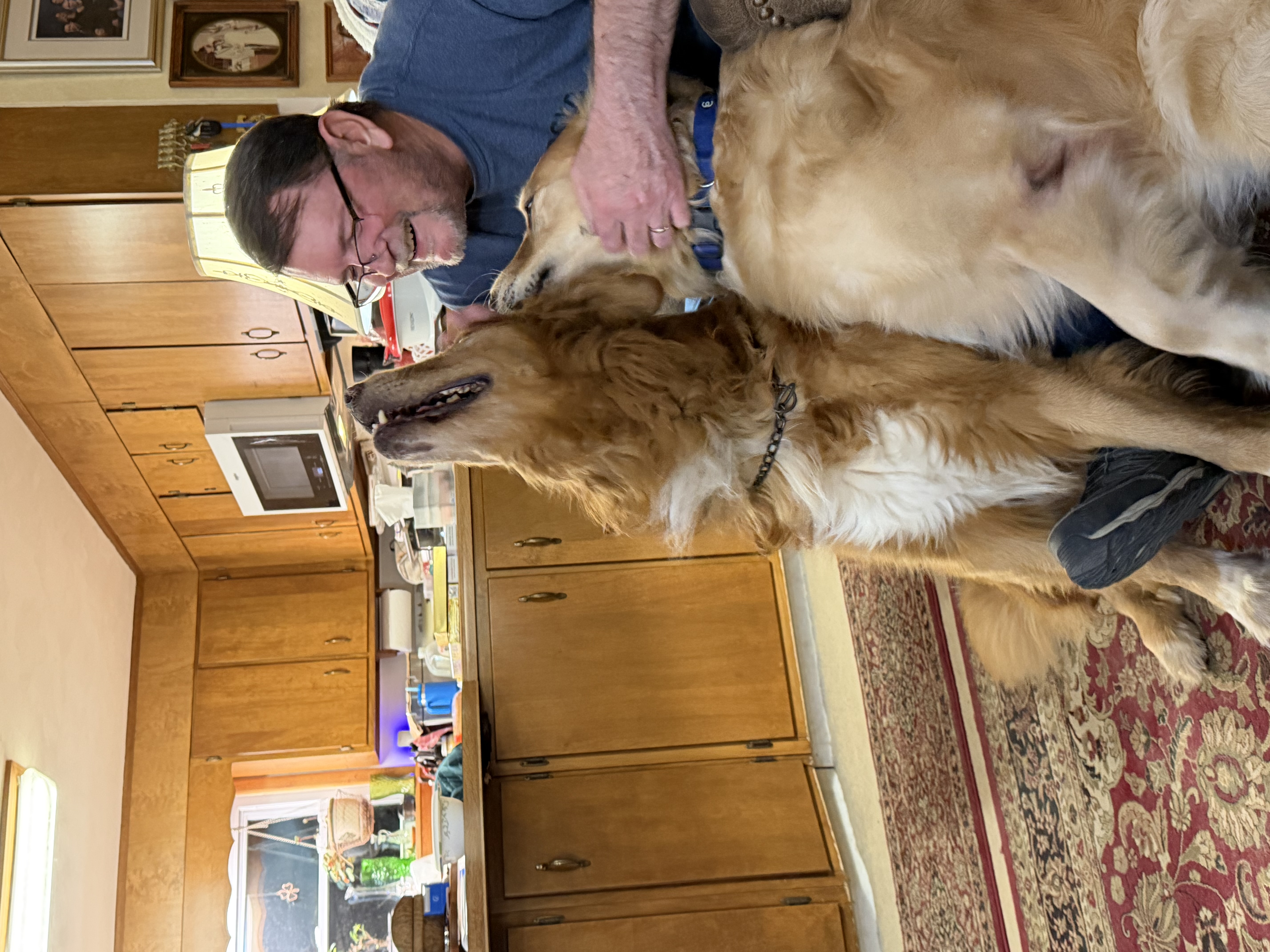 Doug at home with two of our golden retrievers